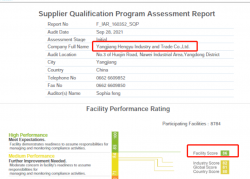 祝陽江恒裕工貿有限公司通過WCA/SQP驗廠，并取得WCA最高等級綠燈86分